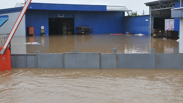 poplave,-kraljevo-tanjug